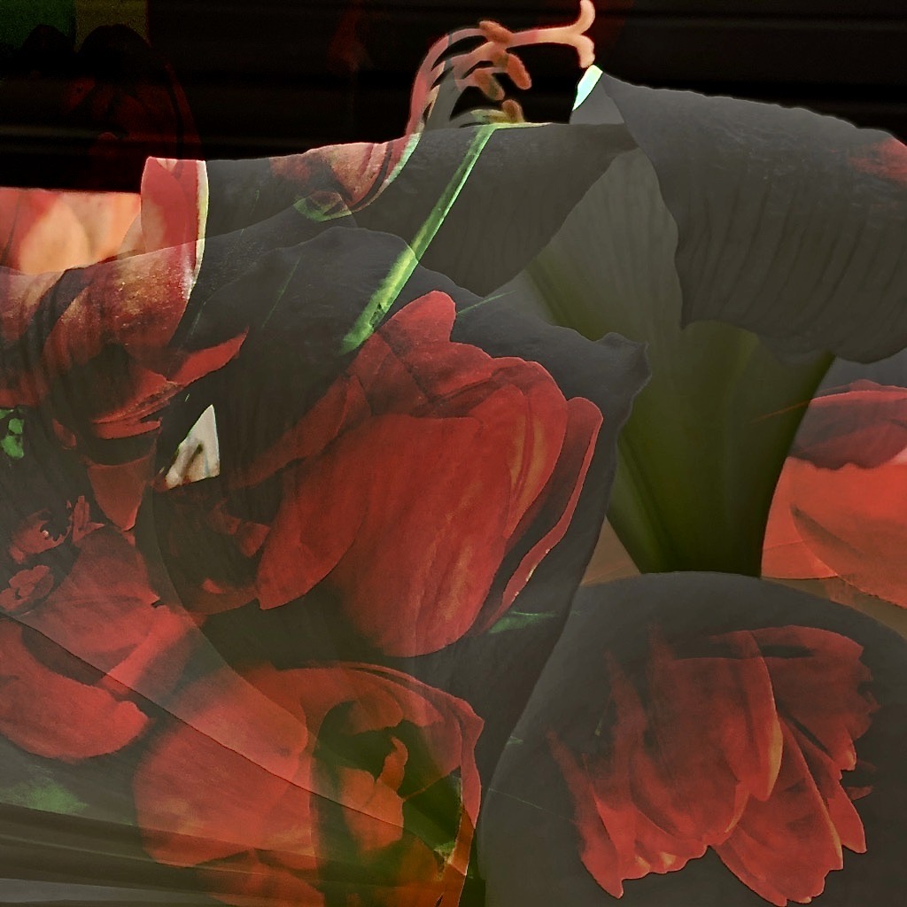MNJZhqsQH2FHE5lE9U5gQ_thumb_a71d
