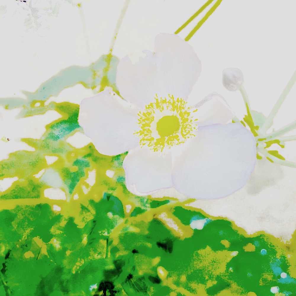 webIMG_1880